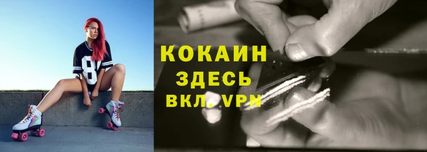 круглые Абаза
