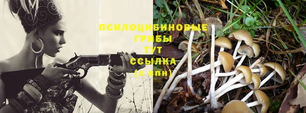 гидра Абдулино