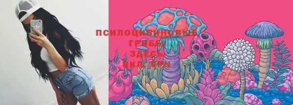 круглые Абаза