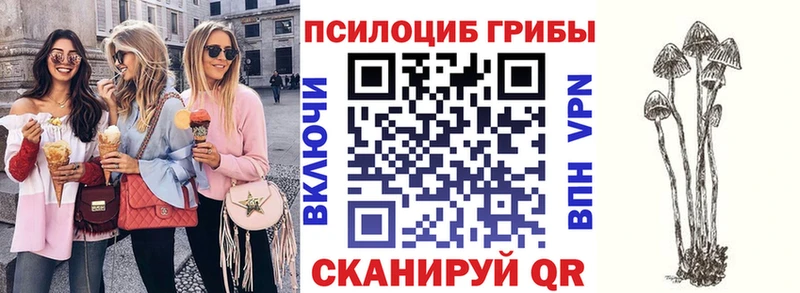 сколько стоит  Фурманов  Галлюциногенные грибы Magic Shrooms 